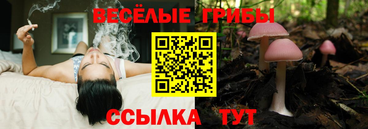 Псилоцибиновые грибы MAGIC MUSHROOMS Янаул
