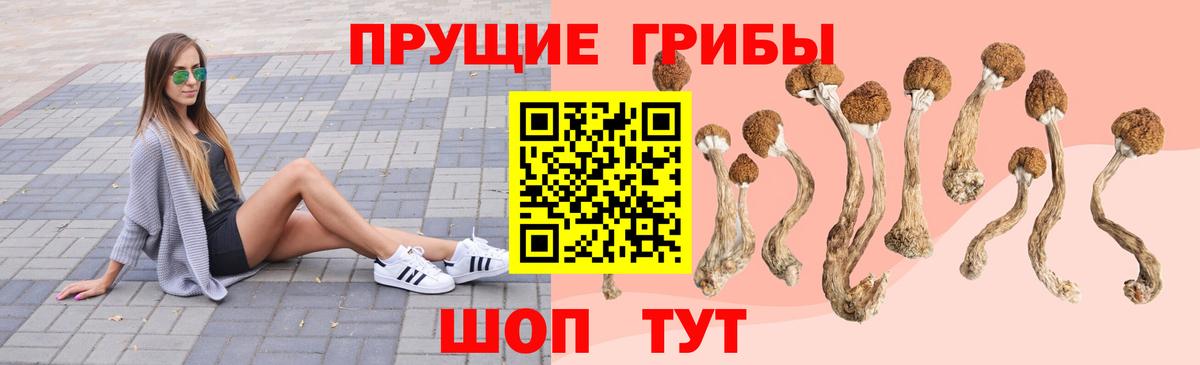 Янаул  Псилоцибиновые грибы мухоморы  Вход с VPN 